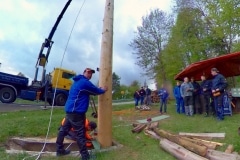 Maibaum-Meiserich-2018-5