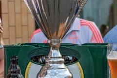 FZM Meiserich_VGP-Ulmen-13.JPG