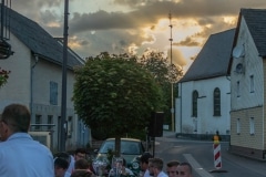 FZM Meiserich_VGP-Ulmen-14.JPG