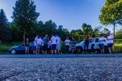 FZM Meiserich_VGP-Ulmen-9.JPG
