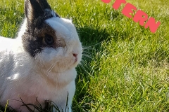 Meisericher Klepperkinder 2019