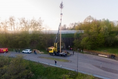 maibaum-Meiserich-2019-4-von-4