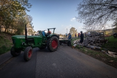 maibaum_meiserich-2019-2-von-9