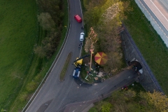 maibaum_meiserich-2019-5-von-9