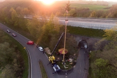 maibaum_meiserich-2019-6-von-9