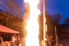 maibaum_meiserich-2019-8-von-9